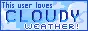 This user loves cloudy weather!